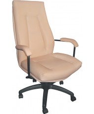 Купить недорого Кресло для руководителя с пластиком - Офисное кресло Примтекс Плюс RICARO Black в Украине