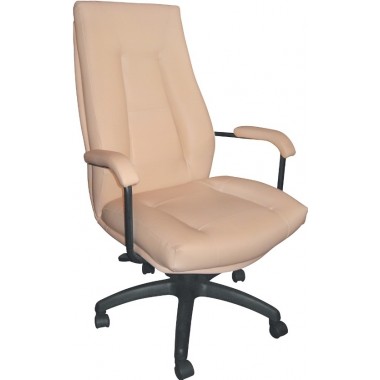 Купить Офисное кресло Примтекс Плюс RICARO Black - цена и отзывы